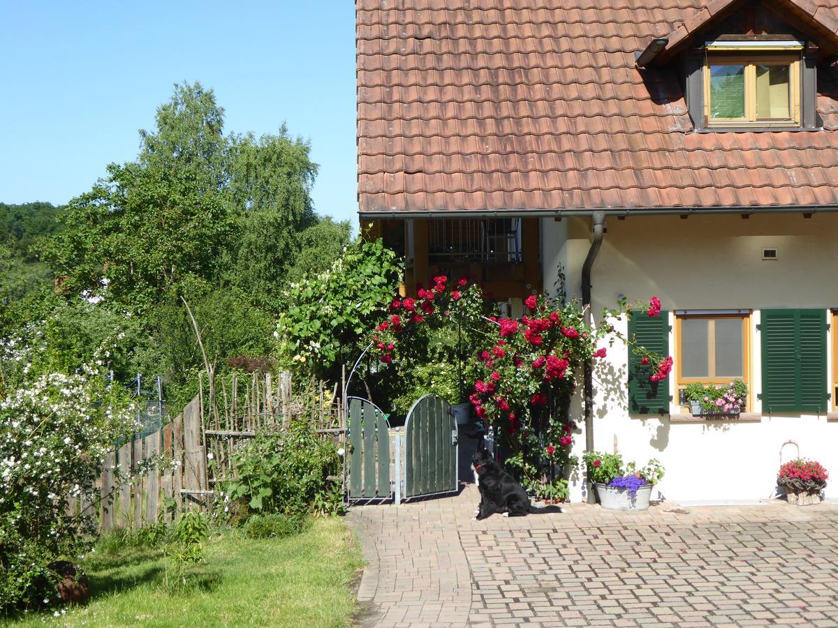 Ferienwohnung Waldblick Цвайбрюккен Экстерьер фото